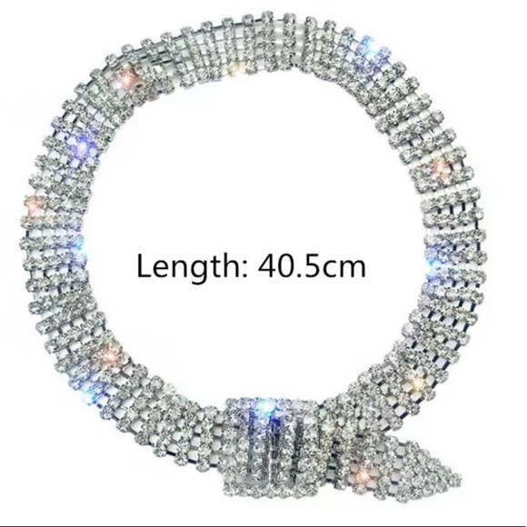 Silver Belt Buckle Crystal Rhinestone Choker - Picture 13 of 14